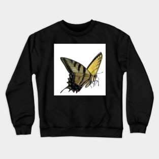 Butterfly Crewneck Sweatshirt